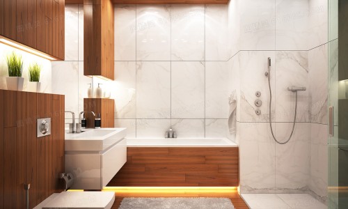 Shower Room Designs: Have You Considered These Essentials?